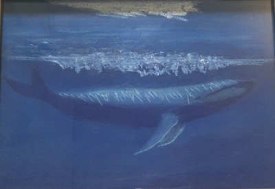 鯨魚二